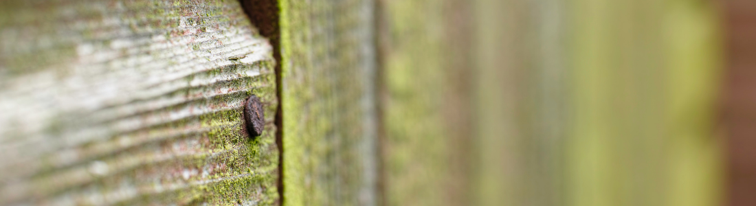 Close up of door of shed erected without planning permission