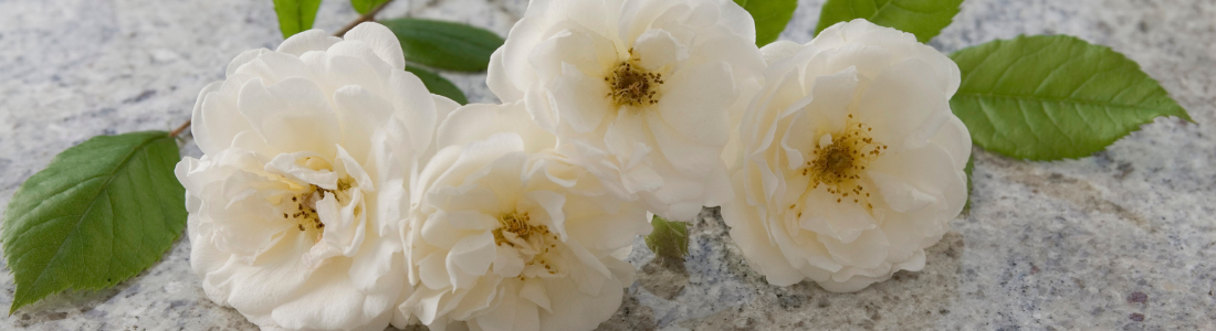 White flowers