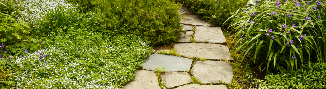 Garden path