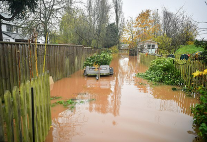 Flooded garden