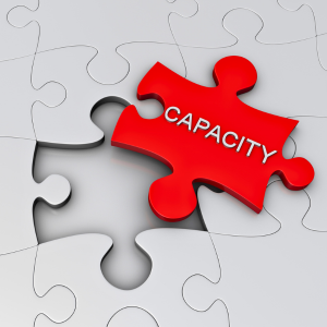 Jigsaw piece saying capacity