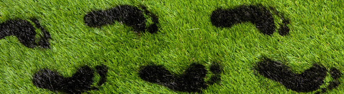 Black well defined footprints on grass