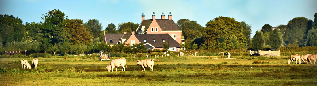 A dairy farm illustrating enforcing a verbal promise over property ownership